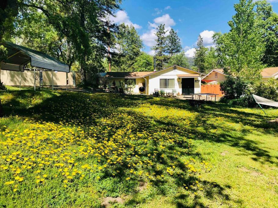 Ferienhaus Sierra Sunset -yosemite Area Vacation Ahwahnee